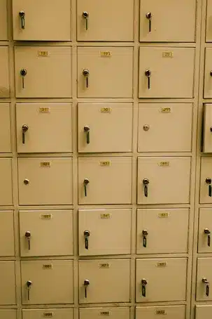 Acceso y consulta de la colección para investigadores y público en general
