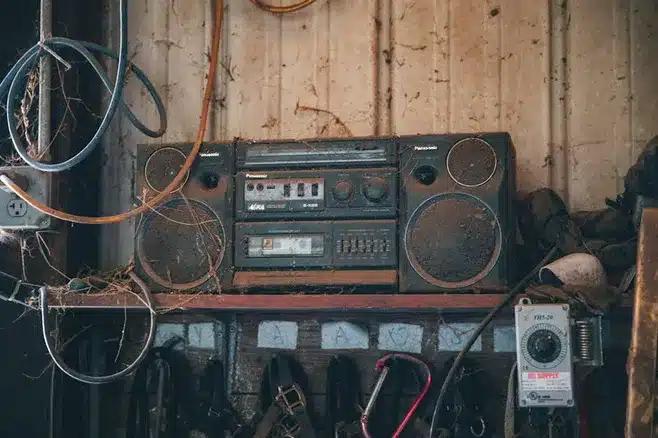 Acciones utilizadas para alejar a los estorninos: sistemas de sonidos de alarma