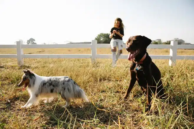 Actividades al aire libre: Disfruta de la naturaleza y las actividades recreativas en Seixalbo