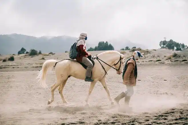 Actividades y atracciones en A Guía