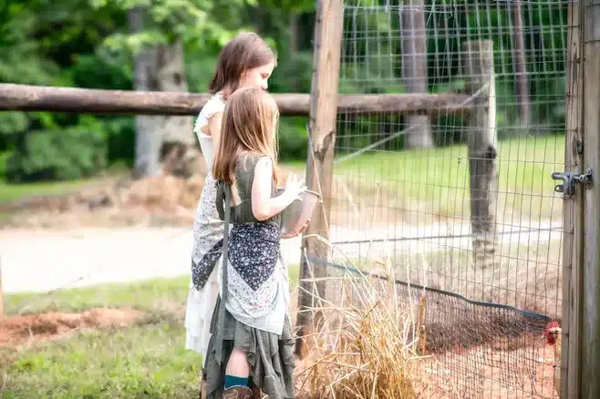Aprende sobre la vida en la granja