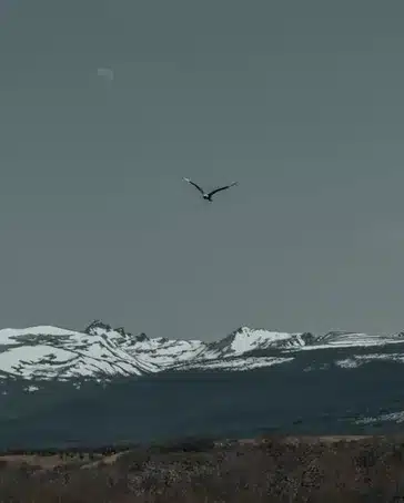 Ascenso a la alcaldía de Lugo en 1999