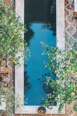 Características y diseño de los jardines