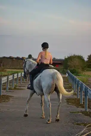 Cómo disfrutar de la cabalgata desde casa