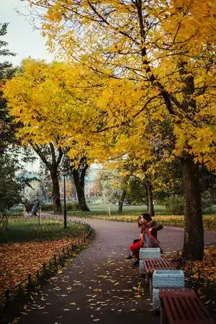 Cómo llegar al parque Castrelos y horarios de visitas