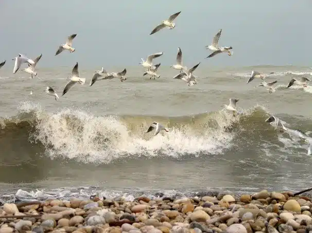 Conclusiones sobre la belleza natural de la Playa de Alba