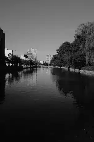 Conclusiones y reflexiones sobre la importancia del archivo y la historia de la ciudad