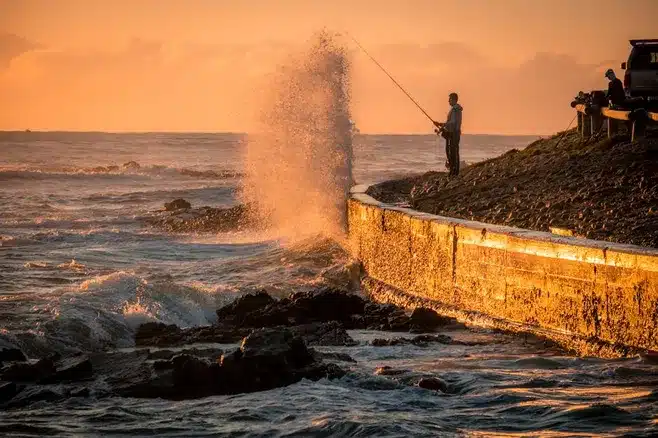 Conclusiones y reflexiones sobre la pesca en Vigo