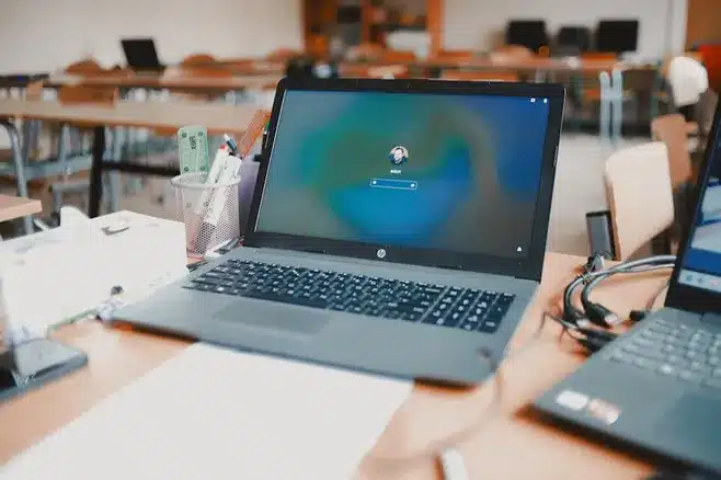Cursos ofrecidos por el programa