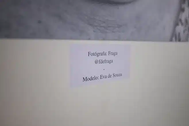Descripción de la exposición