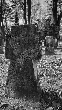 El Cementerio de Pereiró