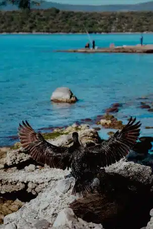 El lago Carregal: un ecosistema único