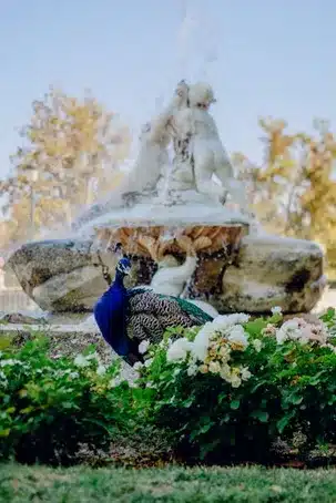 El Pabellón de la Real Maestranza