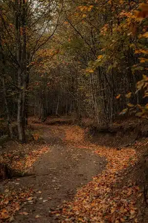 El Paseo de las Ninfas en Reza: magia y tranquilidad en un entorno natural