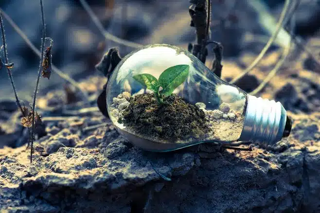 Energías renovables como protagonistas