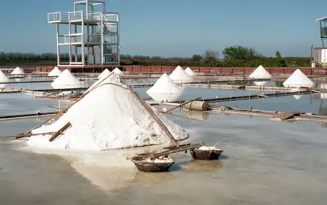 Funcionamiento de una instalación salinera romana