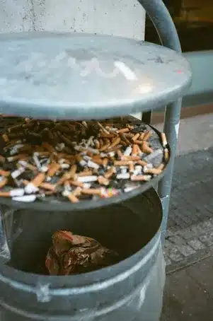Impacto positivo en la limpieza de la ciudad