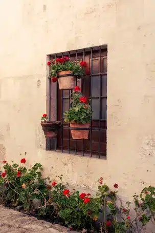 Importancia histórica y cultural de la Muralla