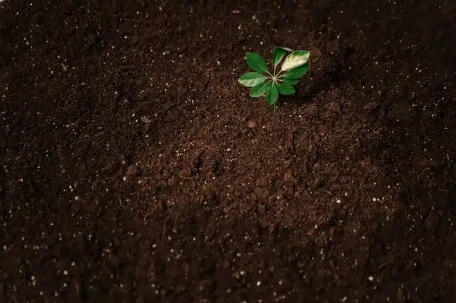 Inicios en el sector agrario y medioambiental