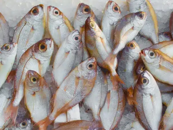La oferta de pescados y mariscos en el mercado de O Berbés