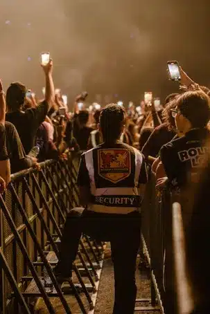 Medidas de seguridad para el concierto