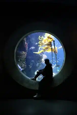Museo del Mar de Galicia
