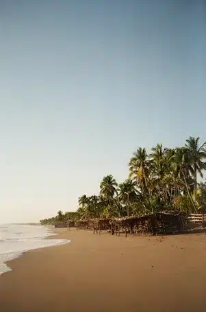 Opiniones de los visitantes sobre la belleza natural de la Playa El Pedrido