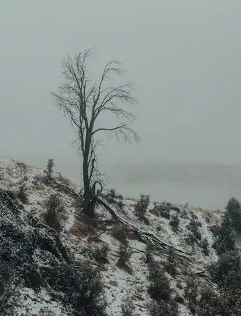 Os Penedos de Pasarela e Traba: Un paisaje protegido en Galicia