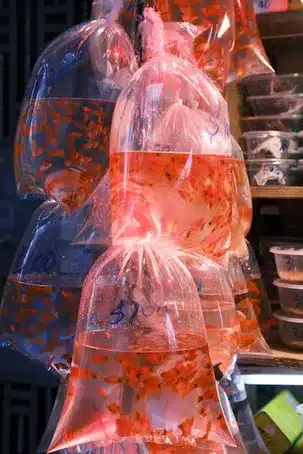 Otros productos disponibles en el mercado de O Berbés