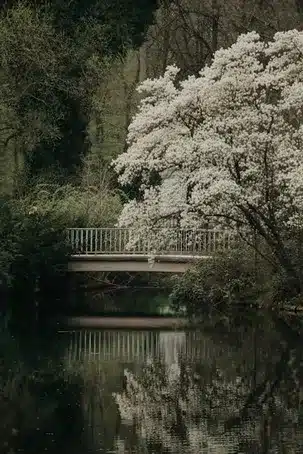 Parque Natural del Xurés
