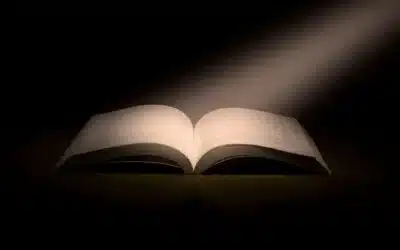 Conclusiones y recomendaciones finales