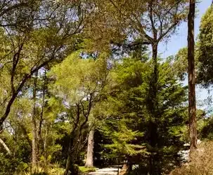Finaliza tu recorrido: otros lugares cercanos para completar tu experiencia en Vigo