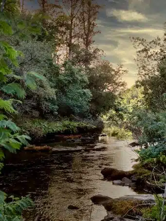Preservando la armonía: Los hermosos paisajes protegidos de Galicia