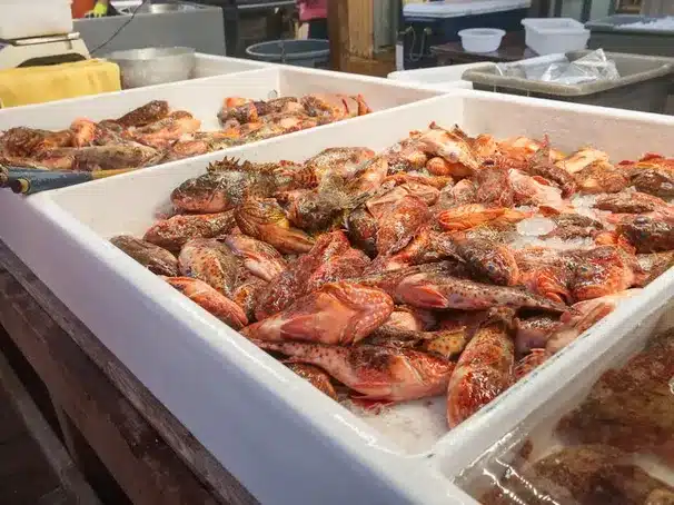 Productos del mar