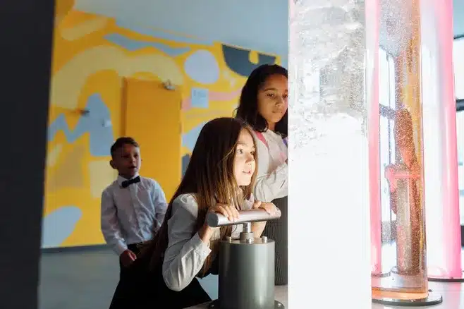 Programas educativos