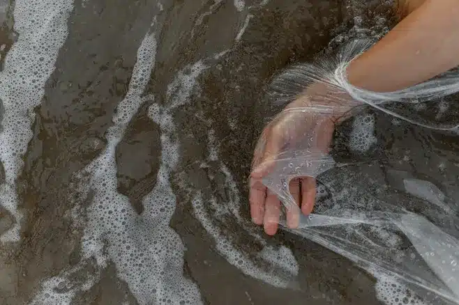 Reserva natural y protección ambiental de la Playa El Pedrido