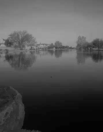 Sinopsis de la película