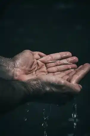 Sostenibilidad ambiental: Medidas y proyectos para proteger el medio ambiente y promover el uso responsable del agua