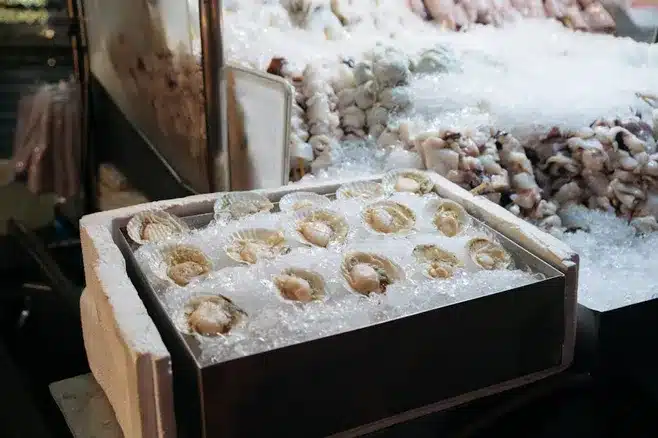 Variedad de platos con ostras en Rúa das Ostras