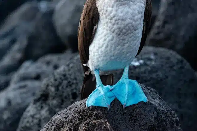 Visitando la isla de San Martiño